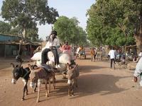 Niono au Mali en 2007 @ E. Vall - Cirad